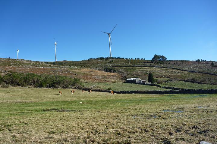 160- Paisagem.JPG